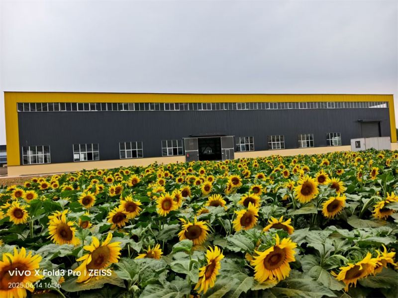 廠區(qū)環(huán)境